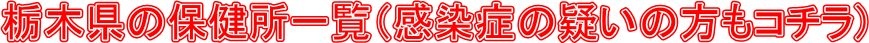 Ȗ،̕یꗗiǂ̋^̕R`j